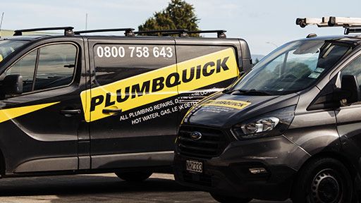 Professional New Lynn Plumbers